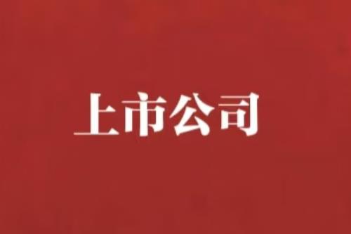 闻泰科技：地缘政治变局中，民营高科技转型的阵痛与突破