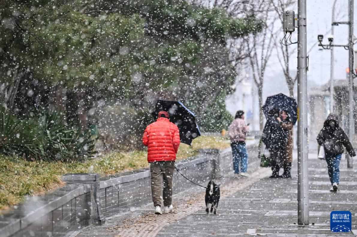 北京迎来春雪