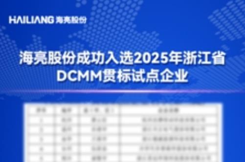 海亮股份成功入选2025年浙江省DCMM贯标试点企业