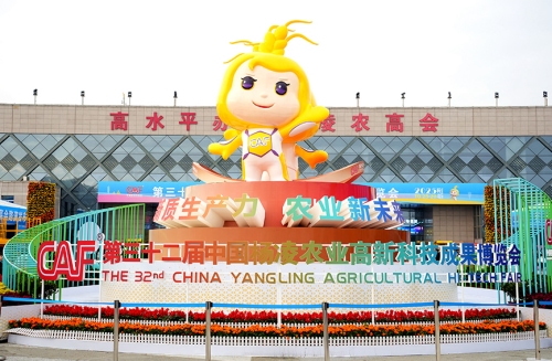 探寻农业发展新未来 第三十二届杨凌农高会亮点纷呈
