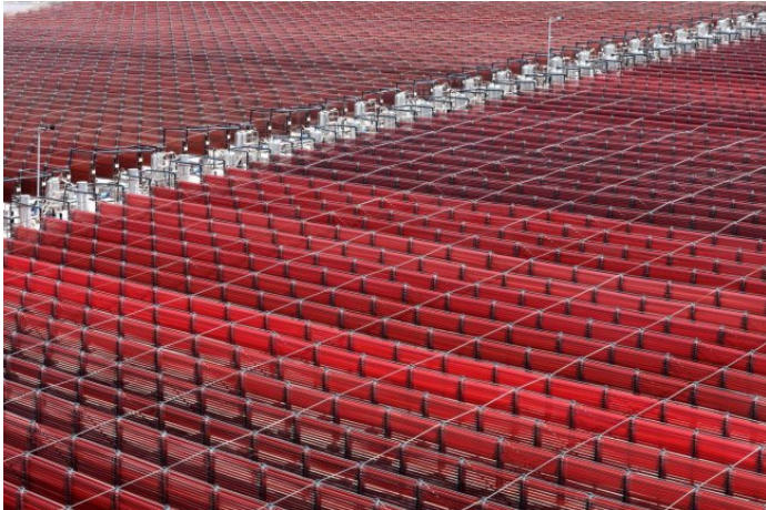 19 年深耕！爱尔发：定义天然虾青素全产业链标杆